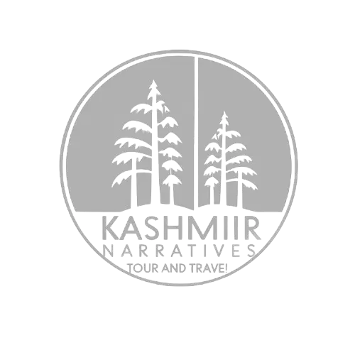 Kashmir Narratives